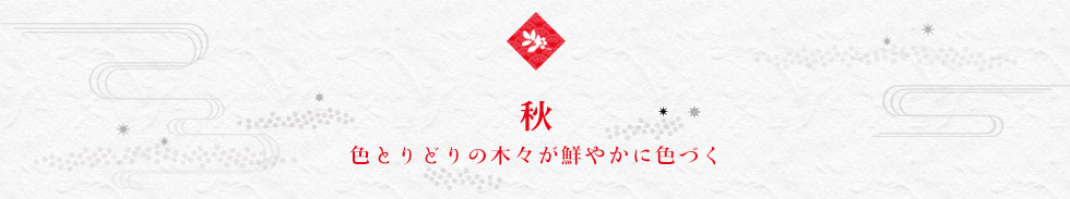 秋 色とりどりの木々が鮮やかに色づく